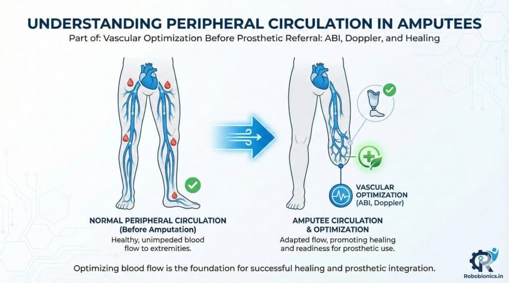 Amputation alters blood flow patterns